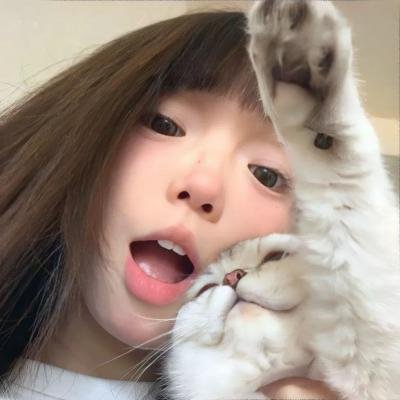 消失的收藏家